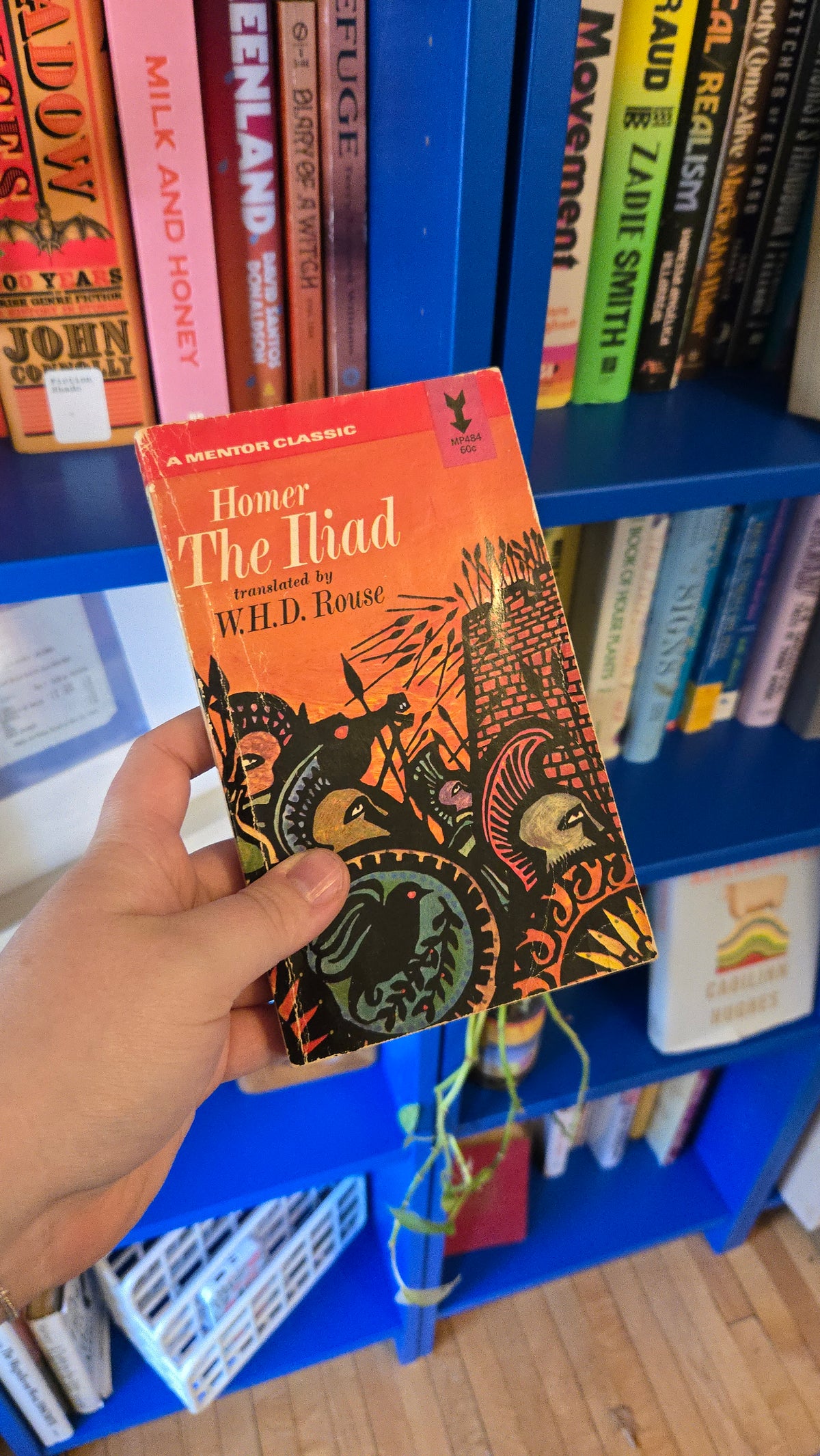 The Iliad