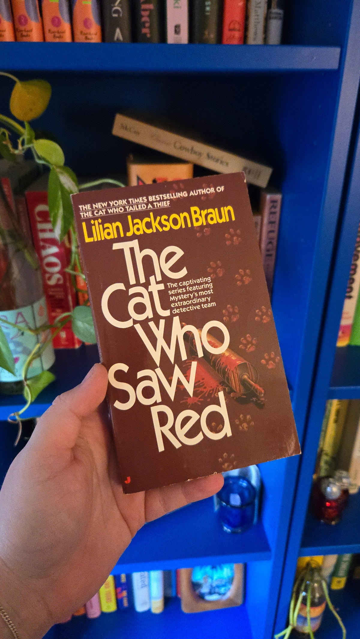 The Cat Who Saw Red